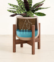 Load image into Gallery viewer, Eternal Gray stand:walnut