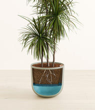 Load image into Gallery viewer, Sage Green