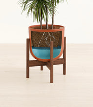 Load image into Gallery viewer, Earth Red stand:walnut