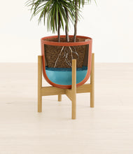Load image into Gallery viewer, Earth Red stand:bamboo