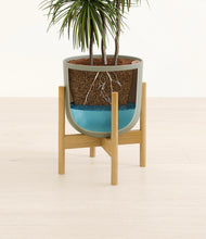 Load image into Gallery viewer, Sage Green stand:bamboo