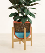 Load image into Gallery viewer, Earth Red stand:bamboo