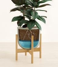 Load image into Gallery viewer, Sage Green stand:bamboo