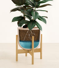 Load image into Gallery viewer, Sandy Pink stand:bamboo