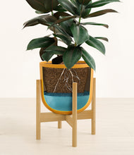 Load image into Gallery viewer, Sunset Orange stand:bamboo