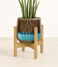 Load image into Gallery viewer, Olive stand:bamboo