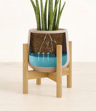 Load image into Gallery viewer, Eternal Gray stand:bamboo