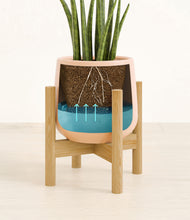 Load image into Gallery viewer, Gentle Pink stand:bamboo