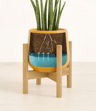 Load image into Gallery viewer, Mustard stand:bamboo