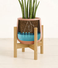 Load image into Gallery viewer, Calm Rose stand:bamboo