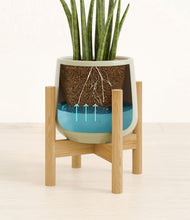 Load image into Gallery viewer, Turquoise stand:bamboo