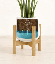 Load image into Gallery viewer, White stand:bamboo