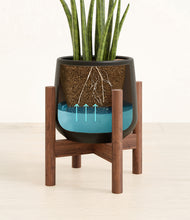 Load image into Gallery viewer, Black stand:walnut