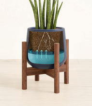 Load image into Gallery viewer, Deep Navy stand:walnut