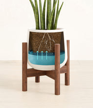 Load image into Gallery viewer, White stand:walnut