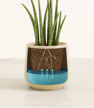 Load image into Gallery viewer, Almond Green