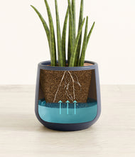 Load image into Gallery viewer, Deep Navy