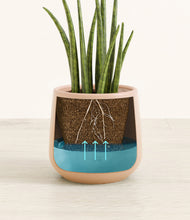 Load image into Gallery viewer, Gentle Pink