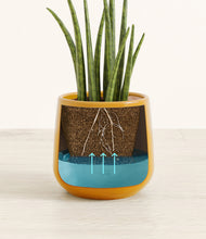 Load image into Gallery viewer, Mustard