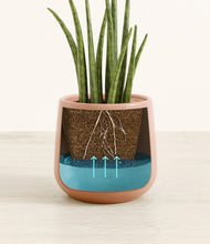 Load image into Gallery viewer, Calm Rose