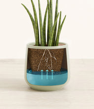 Load image into Gallery viewer, Turquoise