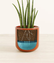 Load image into Gallery viewer, Glossy Red