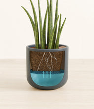 Load image into Gallery viewer, Iron Gray