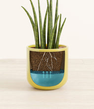 Load image into Gallery viewer, Key Lime Yellow