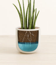 Load image into Gallery viewer, Cotton White