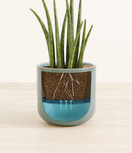 Load image into Gallery viewer, Reactive Aqua