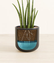 Load image into Gallery viewer, Stone Black