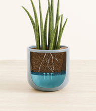 Load image into Gallery viewer, Misty Blue