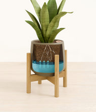 Load image into Gallery viewer, Olive stand:bamboo
