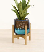 Load image into Gallery viewer, Deep Navy stand:bamboo