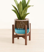 Load image into Gallery viewer, Eternal Gray stand:walnut