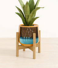 Load image into Gallery viewer, Mustard stand:bamboo