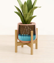 Load image into Gallery viewer, Calm Rose stand:bamboo