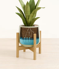 Load image into Gallery viewer, Turquoise stand:bamboo