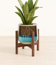 Load image into Gallery viewer, Turquoise stand:walnut