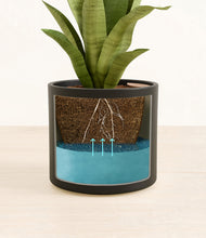 Load image into Gallery viewer, Black