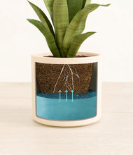 Load image into Gallery viewer, Cream