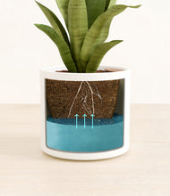 Load image into Gallery viewer, White