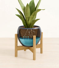 Load image into Gallery viewer, Deep Navy stand:bamboo