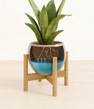 Load image into Gallery viewer, Desert Brown stand:bamboo