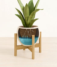 Load image into Gallery viewer, Shiny EggWhite stand:bamboo