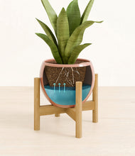 Load image into Gallery viewer, Calm Rose stand:bamboo