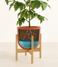 Load image into Gallery viewer, Earth Red stand:bamboo