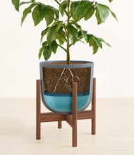 Load image into Gallery viewer, Iron Gray stand:walnut