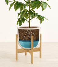 Load image into Gallery viewer, Natural Bamboo stand:bamboo