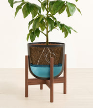 Load image into Gallery viewer, Stone Black stand:walnut